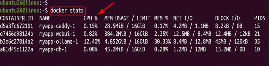 Docker stats command showing CPU and memory usage of Caddy, Web UI, Ollama, and database containers on Ubuntu Linux
