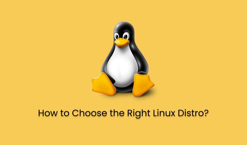 How to Choose the Right Linux Distro? - Greenwebpage Community