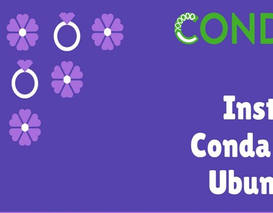 Install Conda on Ubuntu 24.04