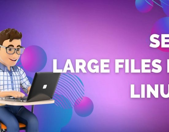 See large files in Linux