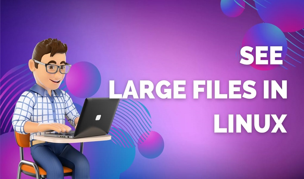 See large files in Linux