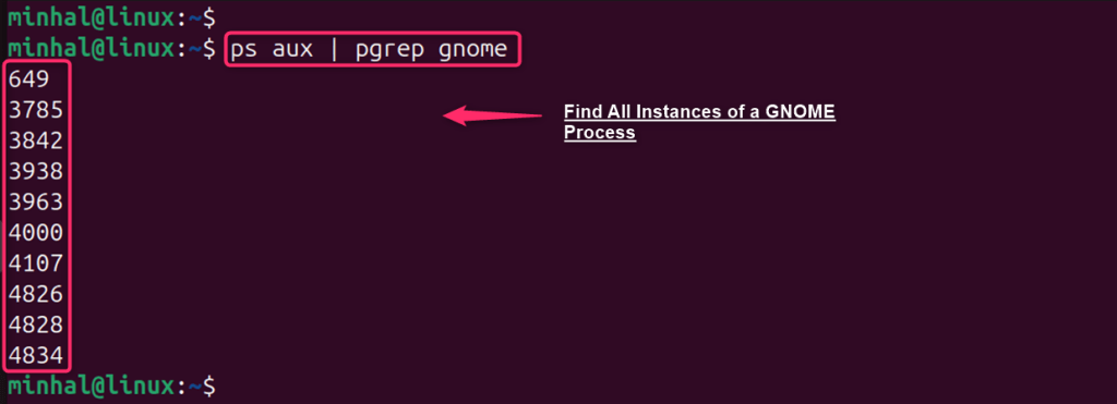 How to List Running Processes in Ubuntu 24.04: Top 4 Ways ...
