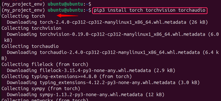 How to Install PyTorch on Ubuntu 24.04: Using PIP & Anaconda ...