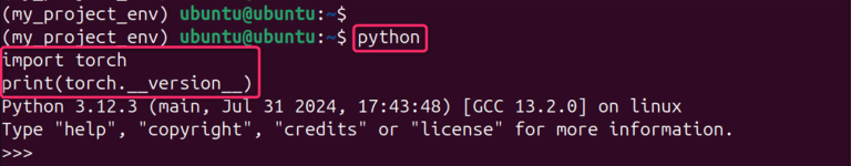 How to Install PyTorch on Ubuntu 24.04: Using PIP & Anaconda ...