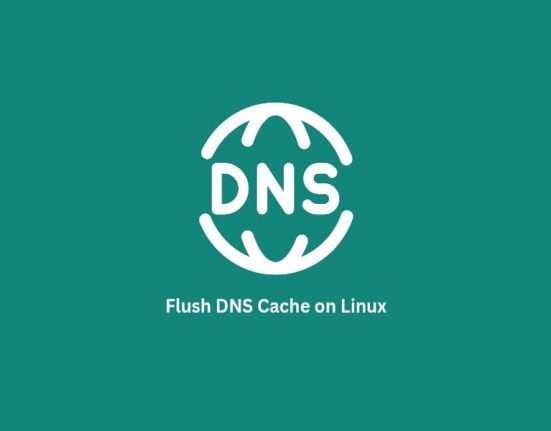 Flush DNS Cache on Linux