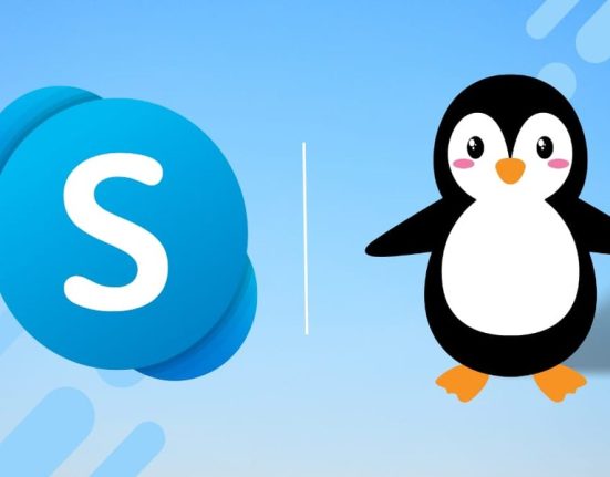 Install Skype on Ubuntu 24.04