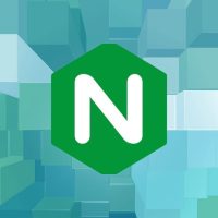 Set up Nginx server blocks on Ubuntu 24.04