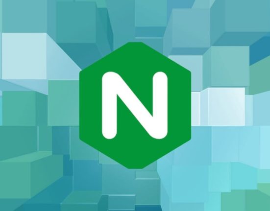 Set up Nginx server blocks on Ubuntu 24.04