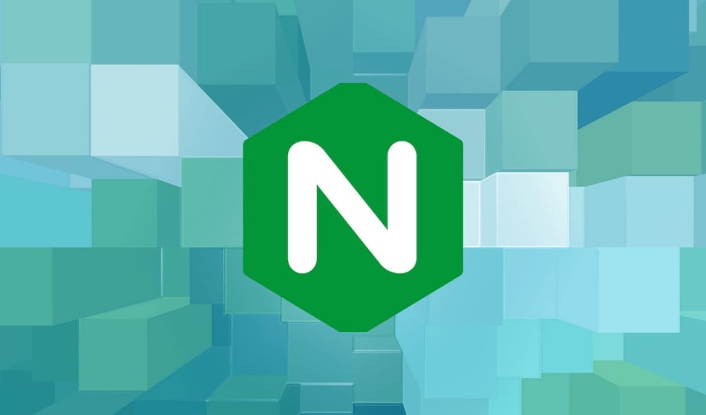 Set up Nginx server blocks on Ubuntu 24.04