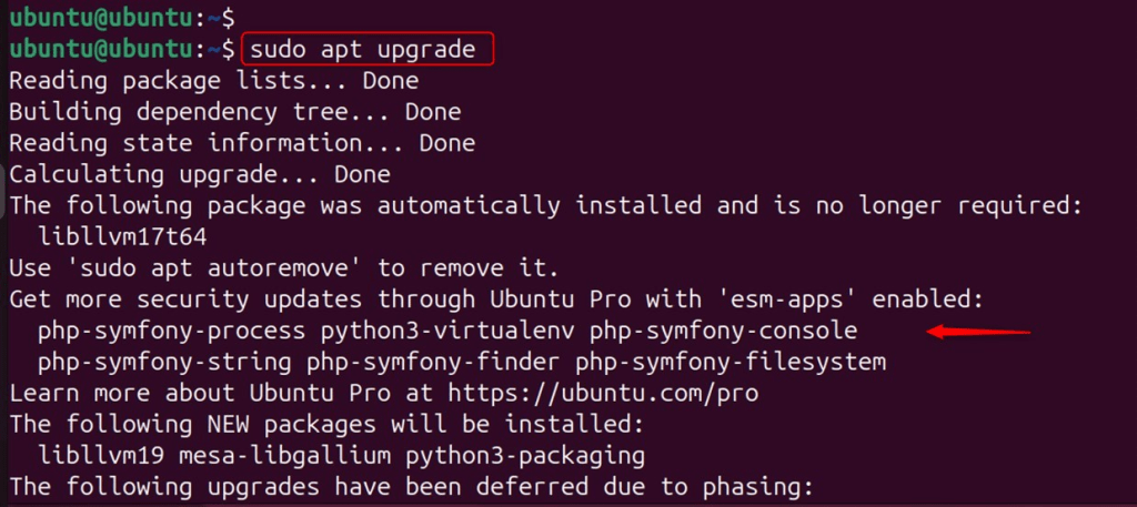 How to Check and Update the Python Version on Ubuntu 24.04
