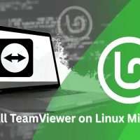 Install TeamViewer on Linux Mint 22